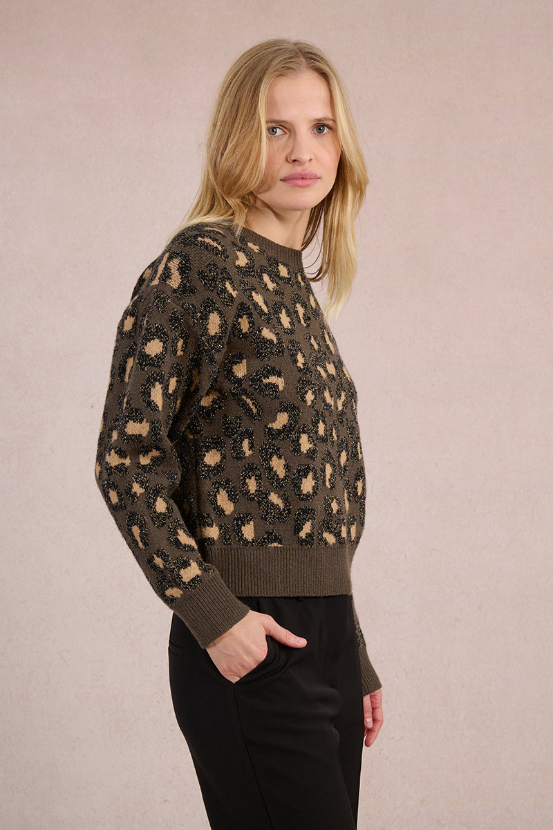 Leopard Sweater