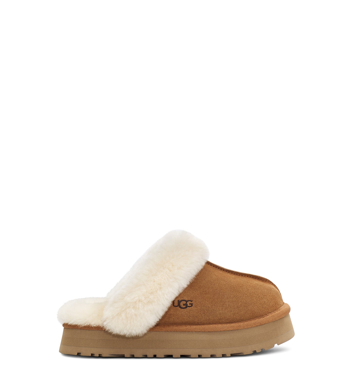 Disquette Slipper