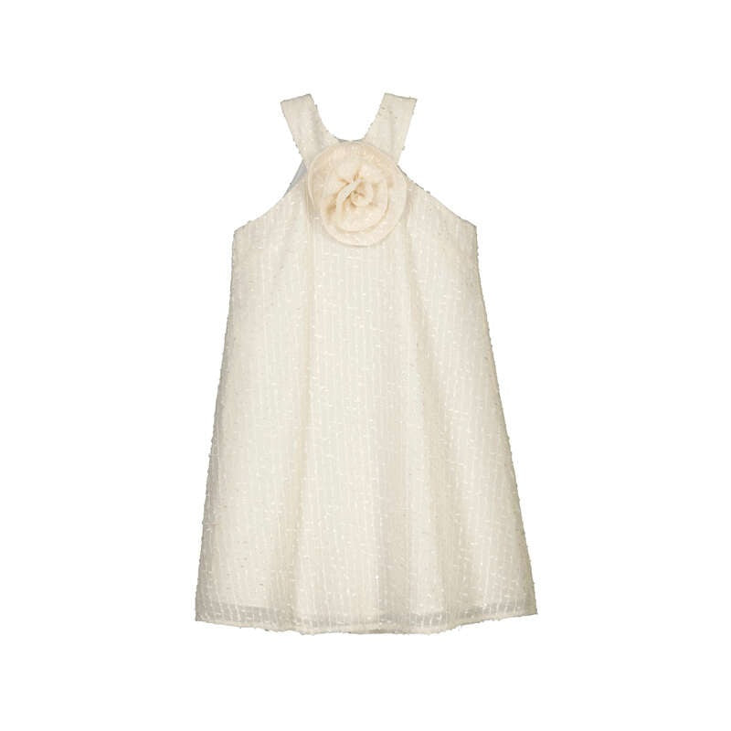 Girl's Flower Applique Dress